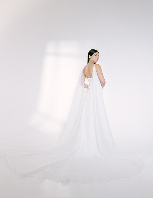 Organza Wings